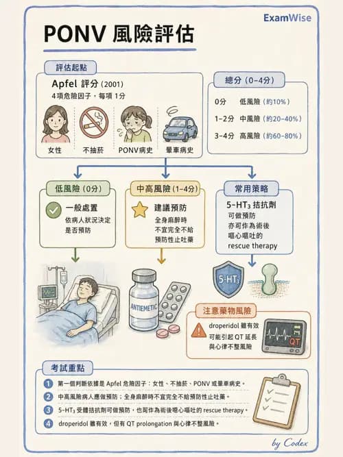麻醉專護 - PACU照護、PONV與術後寒顫 - AI 圖文解析預覽
