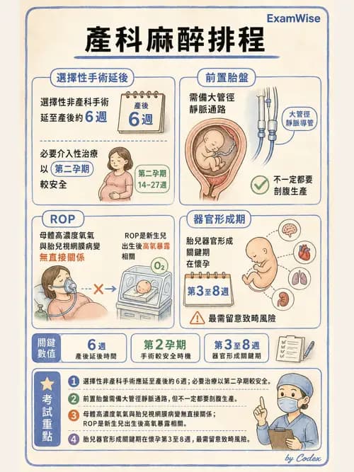 麻醉專護 - 產科麻醉 - AI 圖文解析預覽