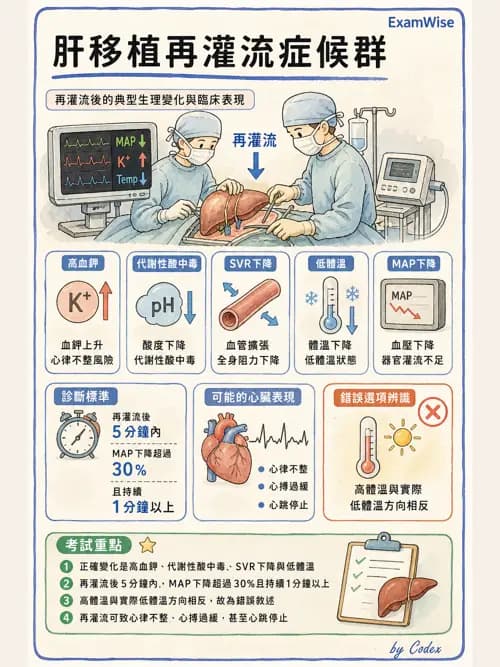 麻醉專護 - 器官移植與腦死捐贈麻醉 - AI 圖文解析預覽