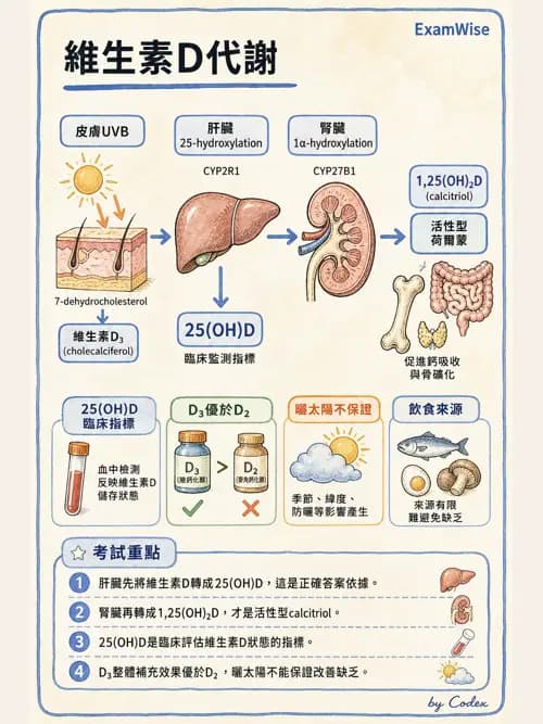 麻醉專護 - 健康促進、篩檢與長期照顧 - AI 圖文解析預覽