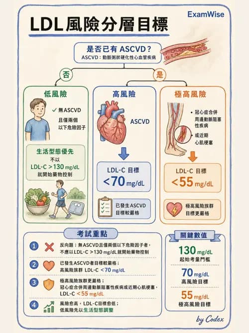 麻醉專護 - 健康促進、篩檢與長期照顧 - AI 圖文解析預覽