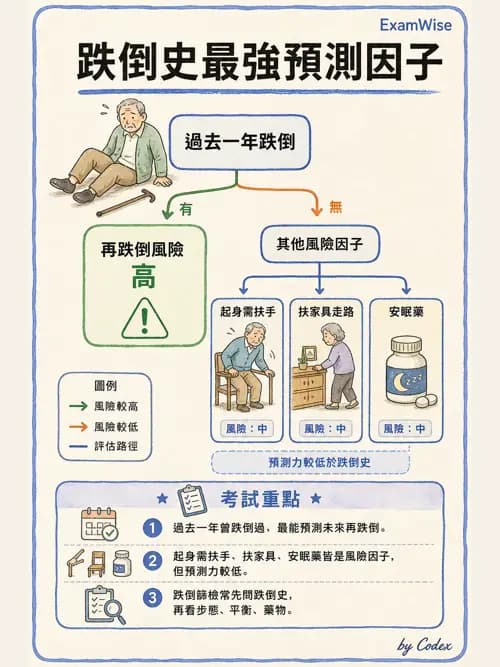 麻醉專護 - 健康促進、篩檢與長期照顧 - AI 圖文解析預覽