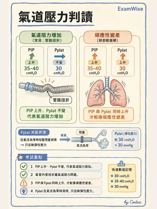 麻醉專護 - 術中生理監測技術 - AI 圖文解析預覽