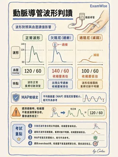 麻醉專護 - 術中生理監測技術 - AI 圖文解析預覽