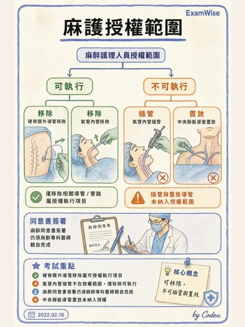 麻醉專護 - 麻醉專科護理師執業範圍 - AI 圖文解析預覽
