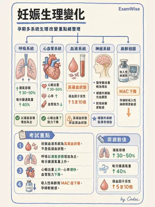 麻醉專護 - 各科手術與特殊族群麻醉 - AI 圖文解析預覽