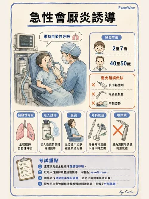 麻醉專護 - 呼吸道評估與處置 - AI 圖文解析預覽