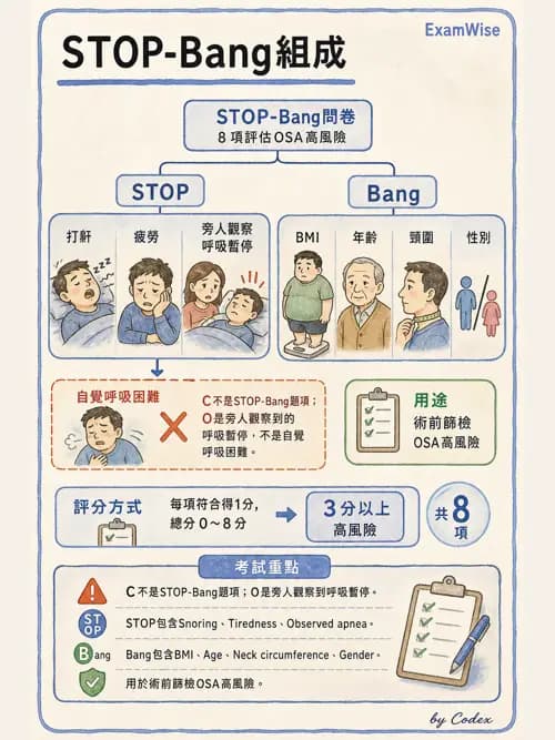 麻醉專護 - 呼吸系統疾病術前評估 - AI 圖文解析預覽