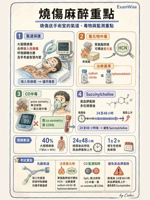 麻醉專護 - 各科手術與特殊族群麻醉 - AI 圖文解析預覽
