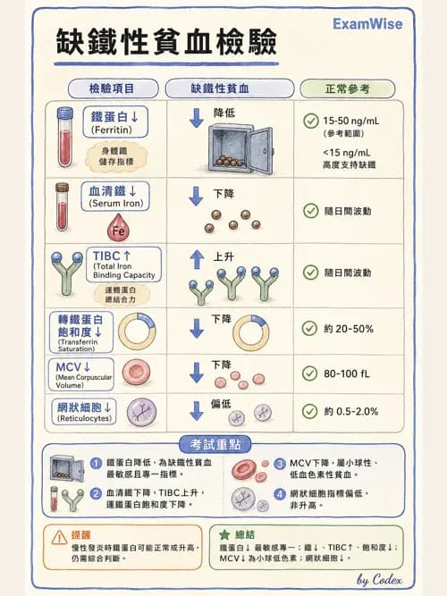 麻醉專護 - 內科疾病鑑別診斷 - AI 圖文解析預覽