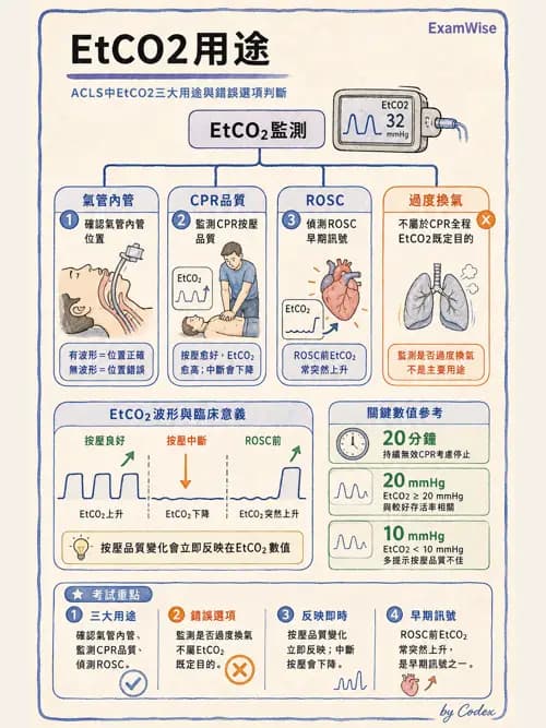麻醉專護 - 心律不整判讀、ACLS與休克辨識 - AI 圖文解析預覽