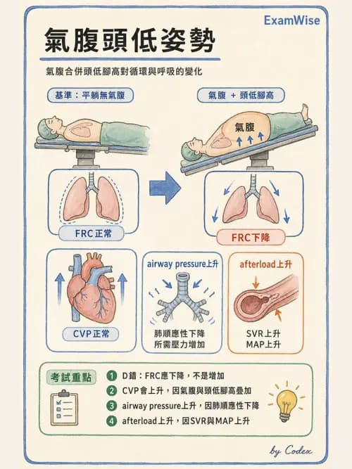 麻醉專護 - 泌尿/婦科/機器人腹腔鏡手術麻醉 - AI 圖文解析預覽