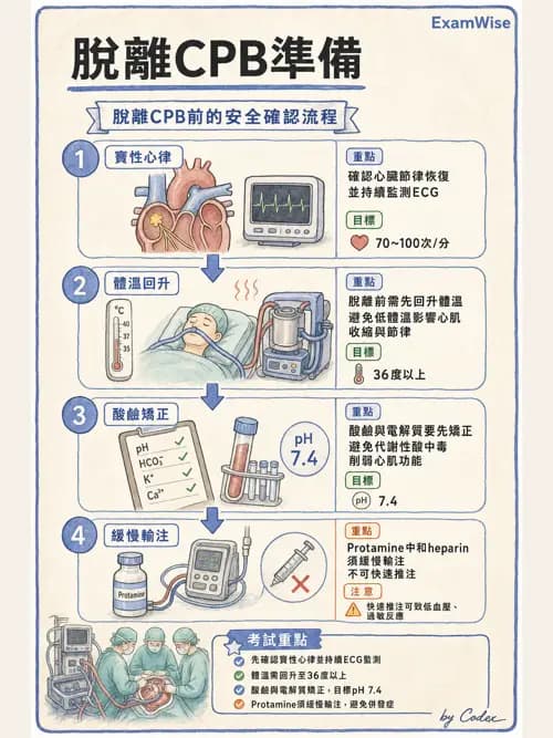 麻醉專護 - 心臟手術與體外循環麻醉 - AI 圖文解析預覽