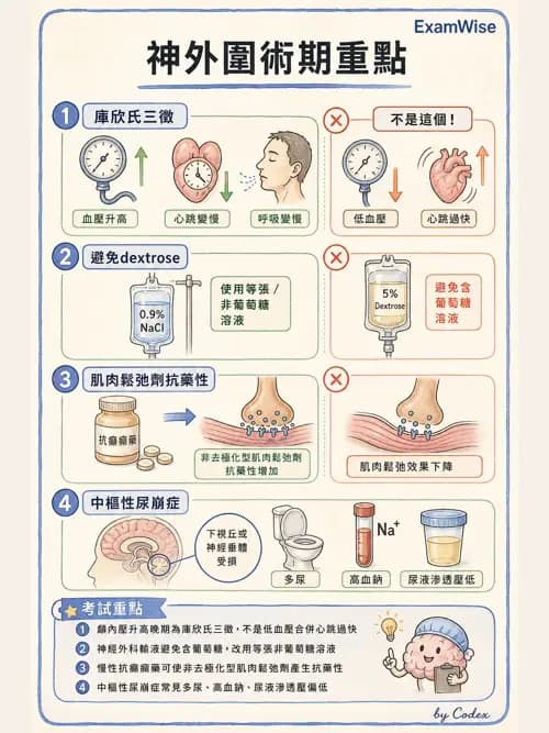 麻醉專護 - 神經外科與脊椎手術麻醉 - AI 圖文解析預覽