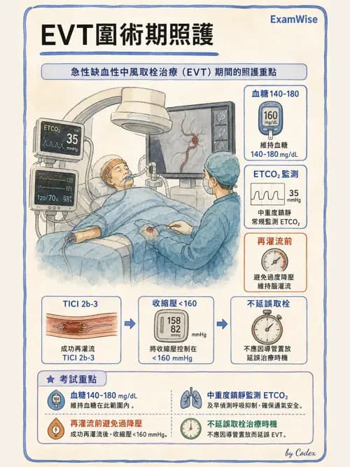 麻醉專護 - 神經外科與脊椎手術麻醉 - AI 圖文解析預覽