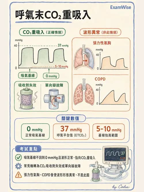 麻醉專護 - 生理監測技術 - AI 圖文解析預覽