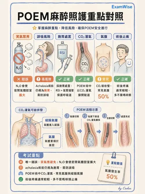 麻醉專護 - 門診手術與內視鏡鎮靜麻醉 - AI 圖文解析預覽