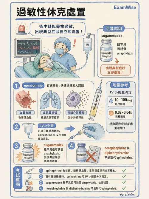 麻醉專護 - 麻醉相關急症 - AI 圖文解析預覽