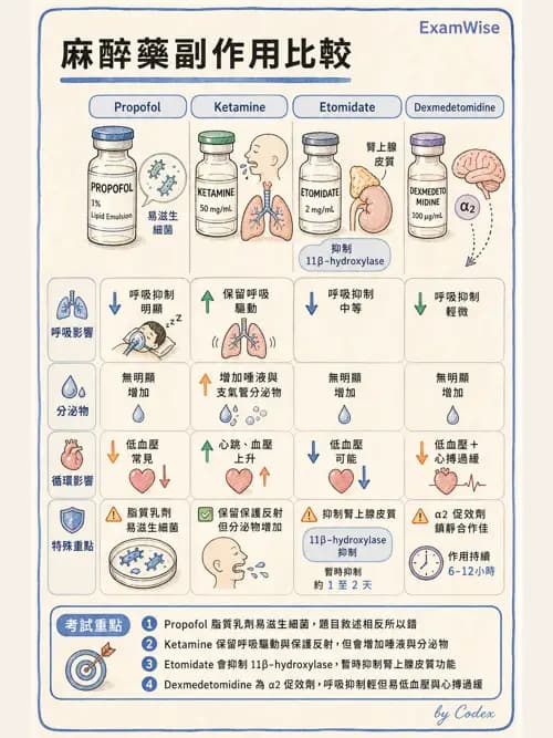 麻醉專護 - 鎮靜安眠藥、吸入性麻醉藥與TIVA - AI 圖文解析預覽