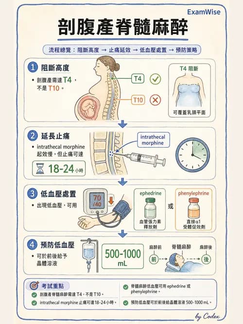 麻醉專護 - 產科麻醉 - AI 圖文解析預覽