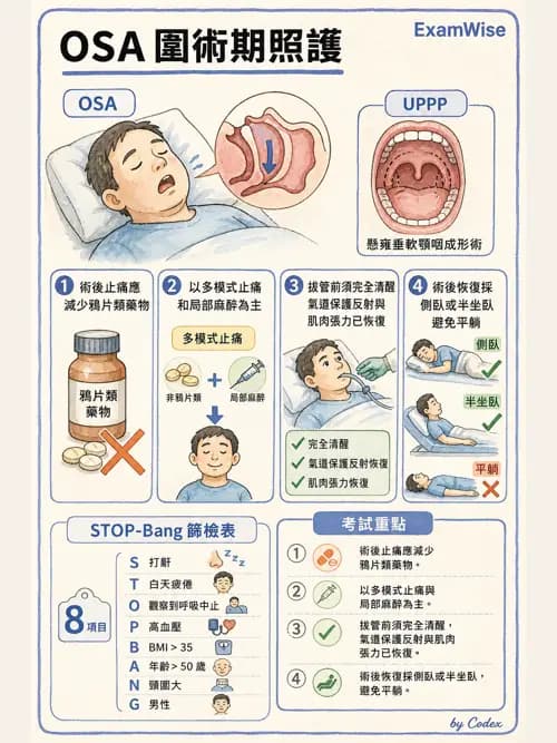 麻醉專護 - 頭頸/耳鼻喉/眼科手術麻醉 - AI 圖文解析預覽