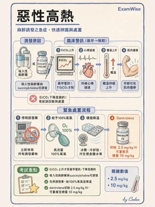 麻醉專護 - 麻醉相關急症 - AI 圖文解析預覽