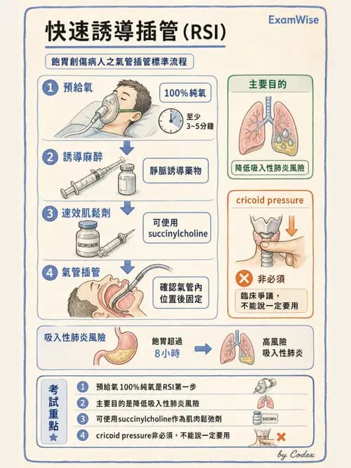 麻醉專護 - 困難氣道評估與插管技術 - AI 圖文解析預覽