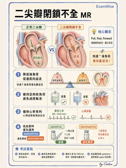 麻醉專護 - 心血管疾病術前評估 - AI 圖文解析預覽