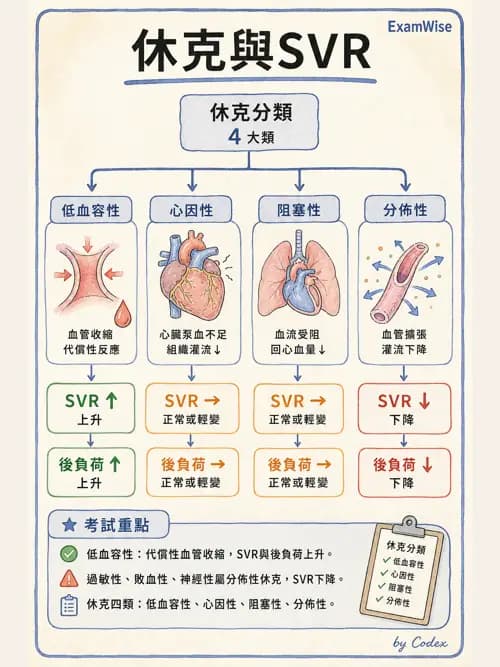 麻醉專護 - 心血管疾病術前評估 - AI 圖文解析預覽