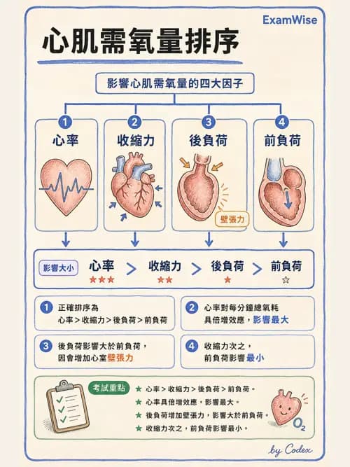 麻醉專護 - 心血管疾病術前評估 - AI 圖文解析預覽