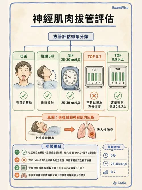 麻醉專護 - 麻醉恢復室照護與術後併發症 - AI 圖文解析預覽