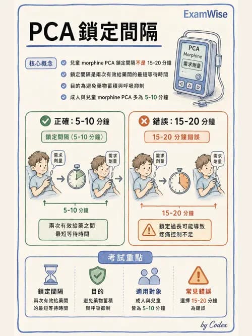 麻醉專護 - 疼痛處置與輸液輸血治療 - AI 圖文解析預覽