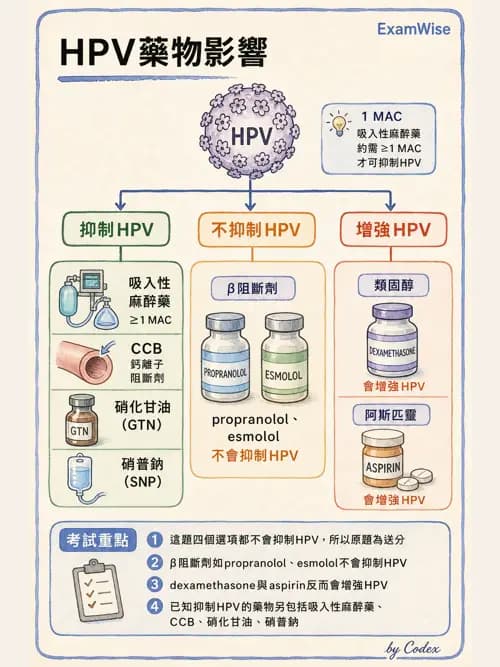 麻醉專護 - 呼吸系統疾病術前評估 - AI 圖文解析預覽