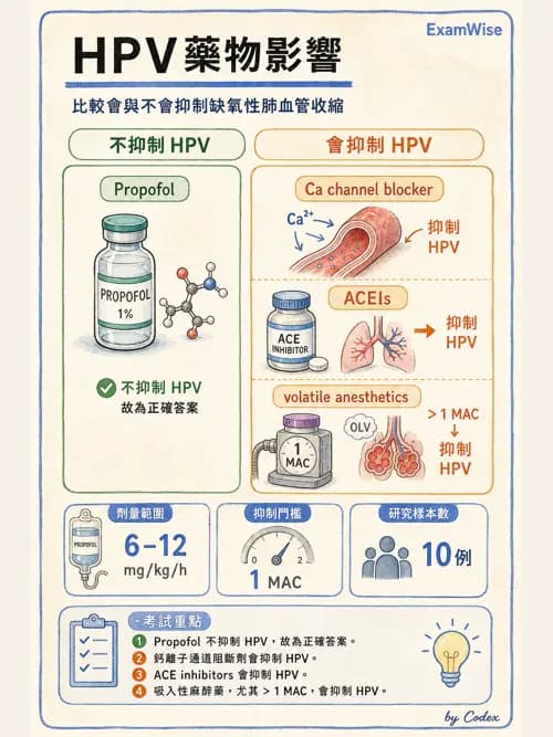 麻醉專護 - 呼吸系統疾病術前評估 - AI 圖文解析預覽