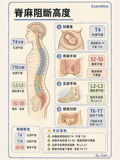 麻醉專護 - 區域麻醉與術中麻醉技巧 - AI 圖文解析預覽