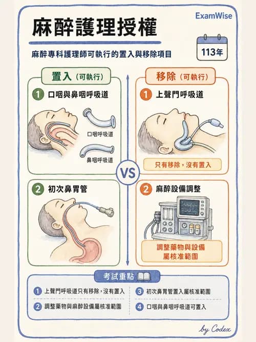 麻醉專護 - 麻醉專科護理師執業範圍 - AI 圖文解析預覽