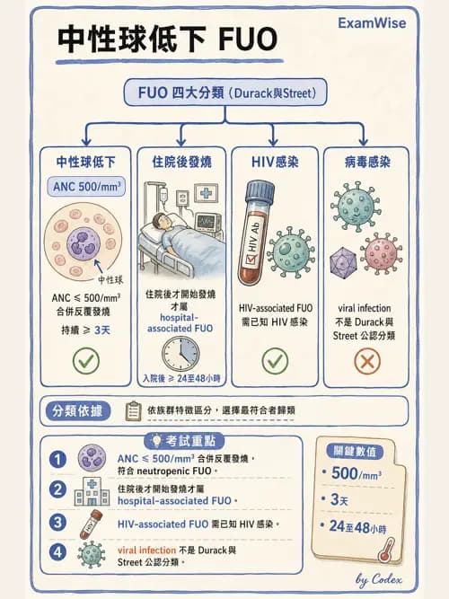 麻醉專護 - 感染症、發燒與抗生素 - AI 圖文解析預覽