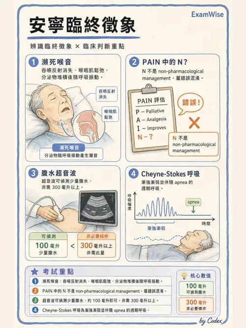 麻醉專護 - 止痛藥物與安寧緩和照護基礎 - AI 圖文解析預覽
