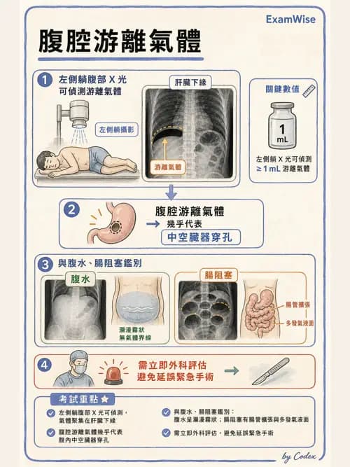 麻醉專護 - 內科疾病鑑別診斷 - AI 圖文解析預覽