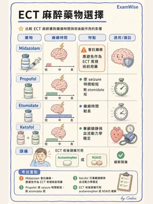 麻醉專護 - 鎮靜安眠藥、吸入性麻醉藥與TIVA - AI 圖文解析預覽