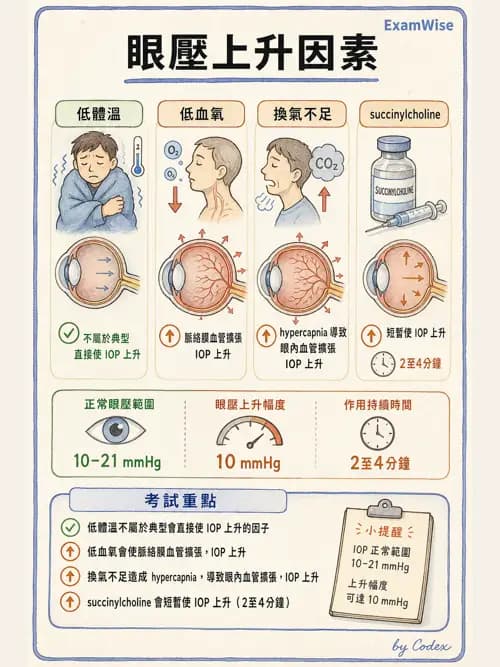 麻醉專護 - 頭頸/耳鼻喉/眼科手術麻醉 - AI 圖文解析預覽