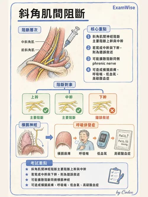 麻醉專護 - 周邊神經阻斷術 - AI 圖文解析預覽