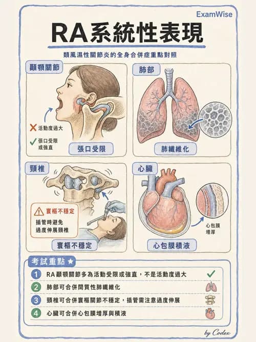 麻醉專護 - 骨科手術麻醉 - AI 圖文解析預覽