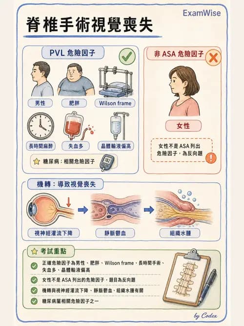 麻醉專護 - 神經外科與脊椎手術麻醉 - AI 圖文解析預覽