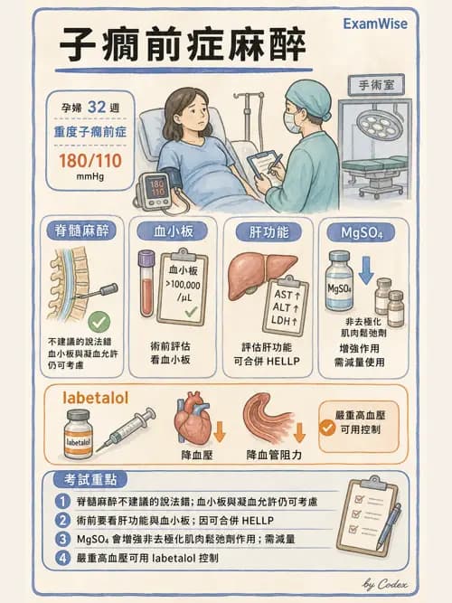 麻醉專護 - 產科麻醉 - AI 圖文解析預覽