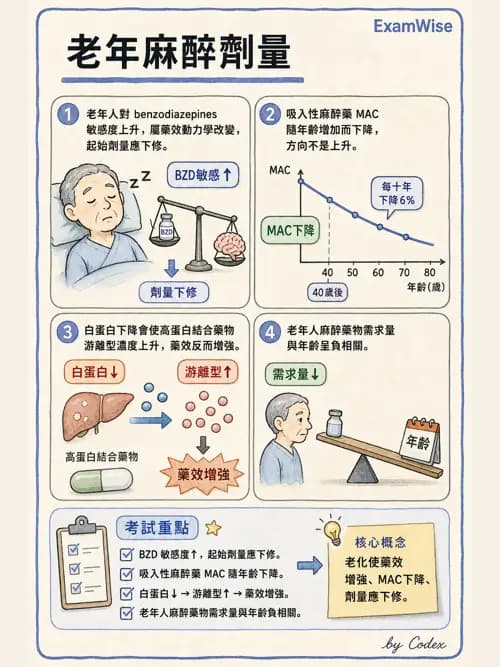 麻醉專護 - 老年麻醉 - AI 圖文解析預覽