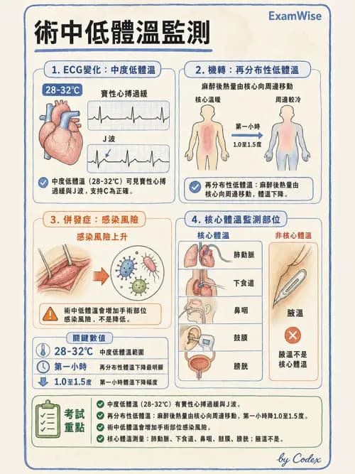麻醉專護 - 體溫調節與大量輸血 - AI 圖文解析預覽