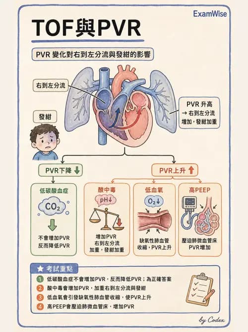 麻醉專護 - 小兒麻醉 - AI 圖文解析預覽