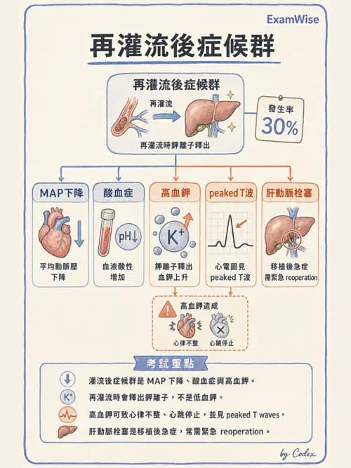 麻醉專護 - 器官移植與腦死捐贈麻醉 - AI 圖文解析預覽