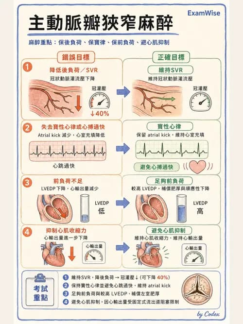 麻醉專護 - 心臟手術與體外循環麻醉 - AI 圖文解析預覽